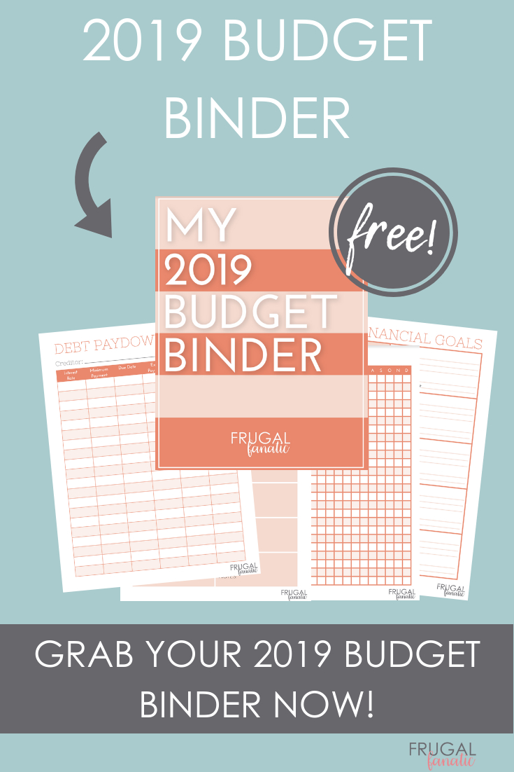 2019 Budget Binder Worksheets  Free Download | Popular Pins intended for Frugal Fanatic Monthly Budget