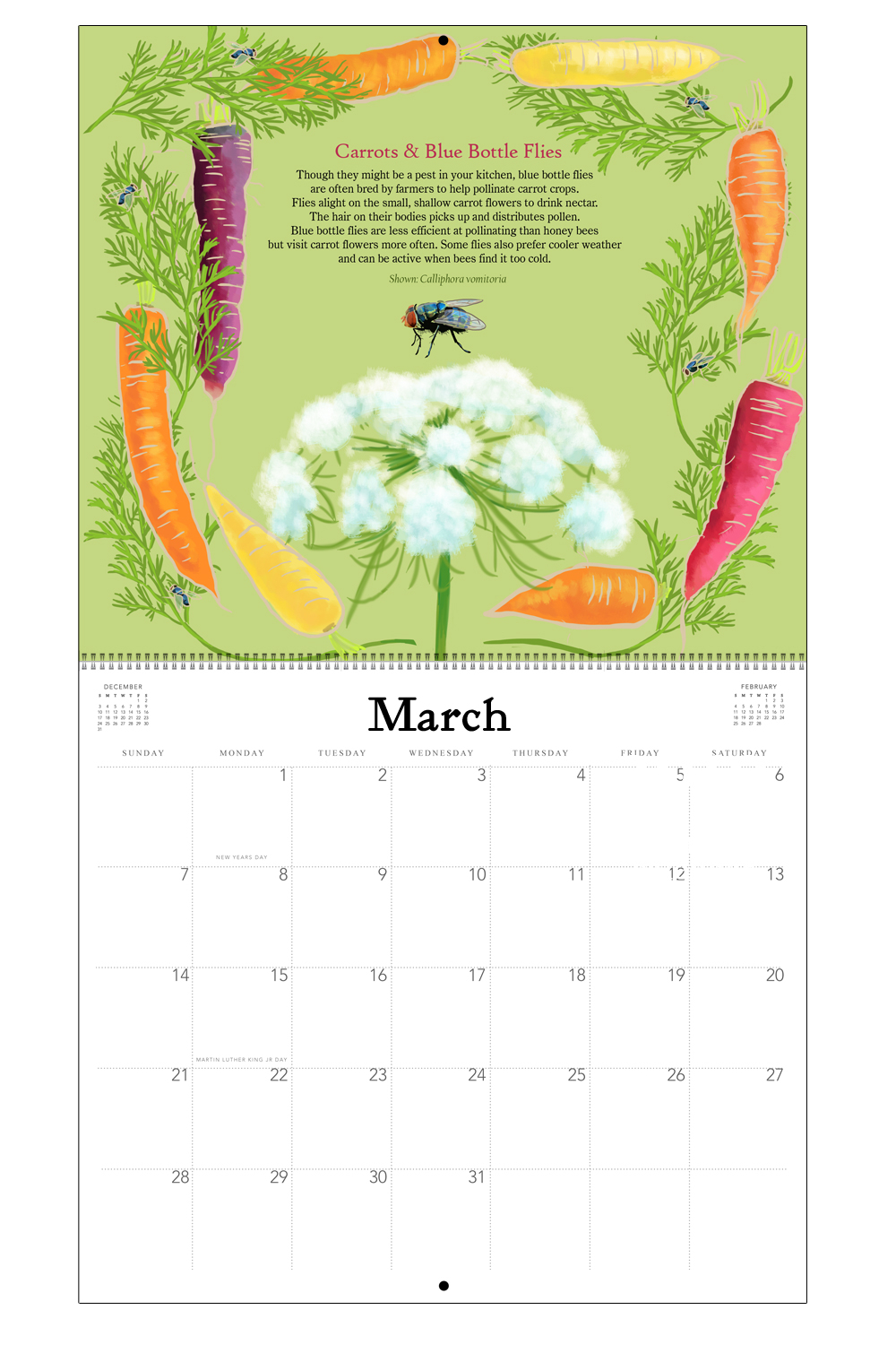 2020 Farmer&#039;s Market Native Pollinators Calendar — Rigel Stuhmiller regarding Ucb Calendar 2020