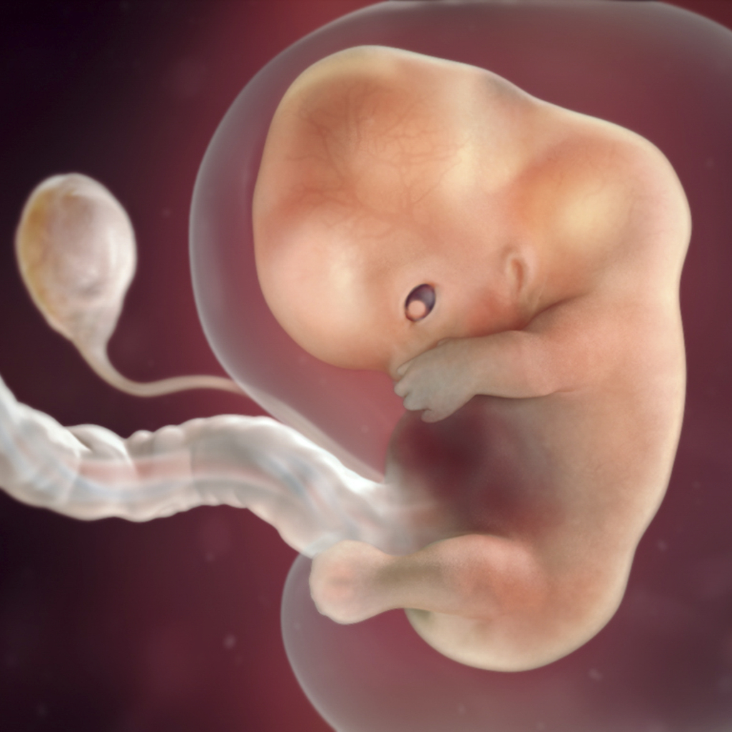 9 Weeks Pregnant: Symptoms, Belly Pictures &amp; More | Babycenter regarding Babycenter August 2020