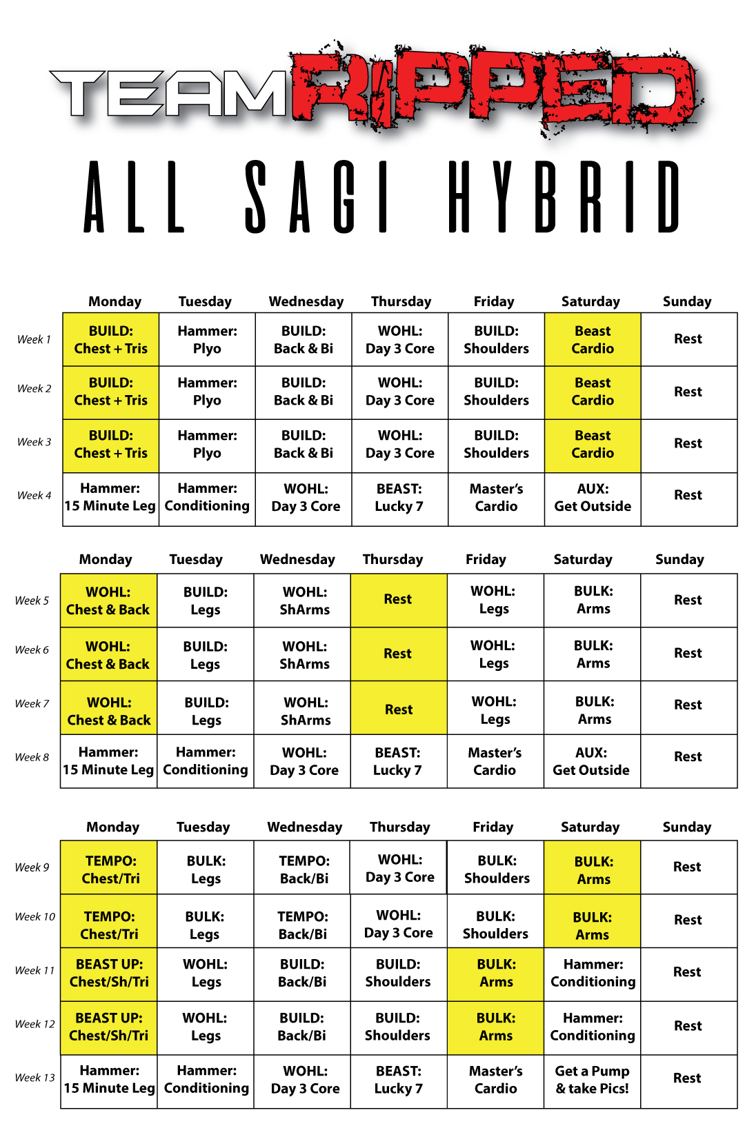 All Sagi Hybrid  Teamripped for Piyo Hybrid Calendars