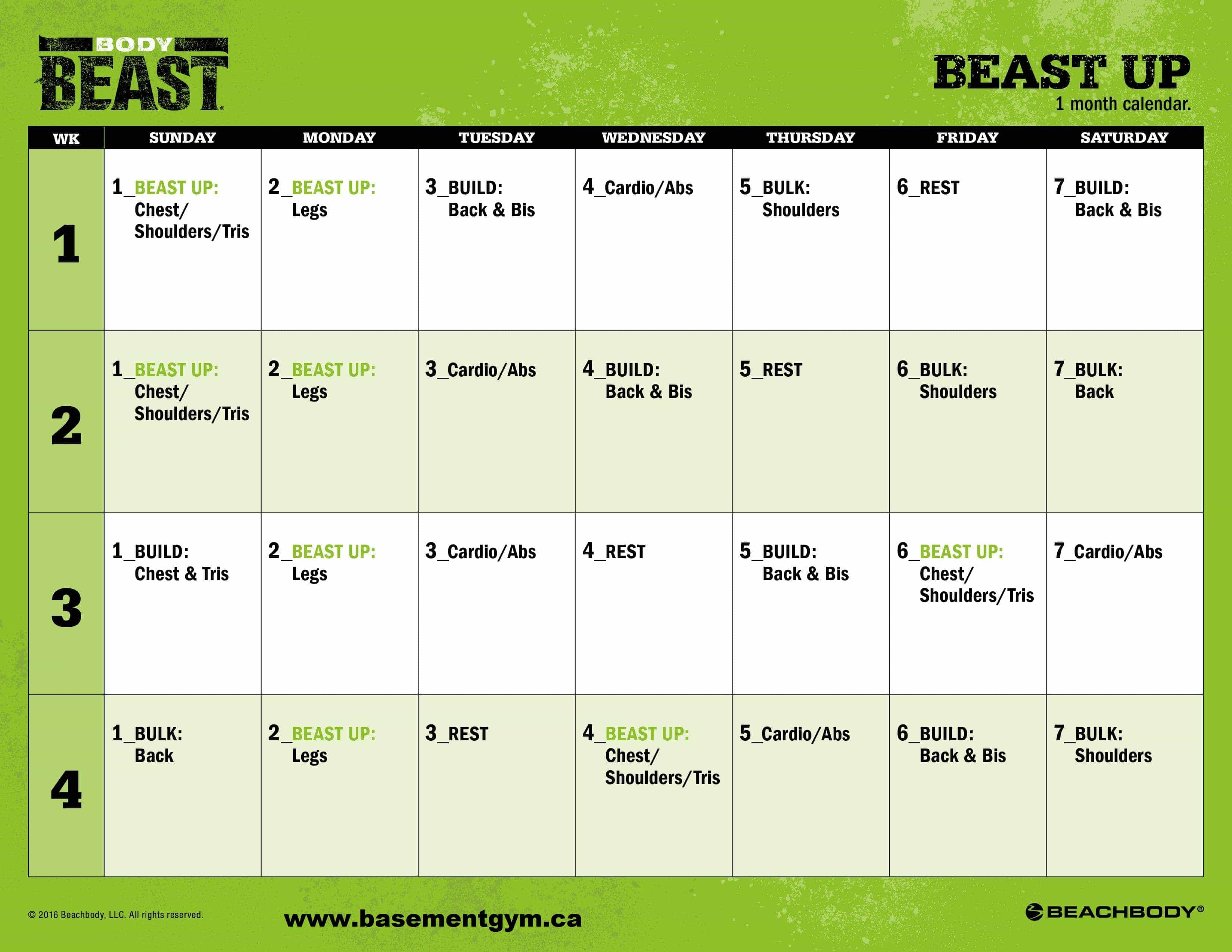 Beast Up | Sagi Kalev | Body Beast 2 | Basementgym intended for Body Beast Hybrid