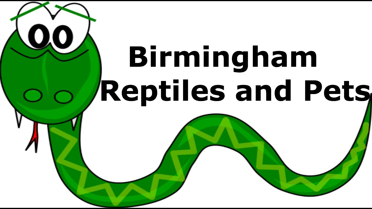 Birmingham Reptiles And Pets, Www.reptilespecialist.co.uk intended for Reptile Shop Birmingham