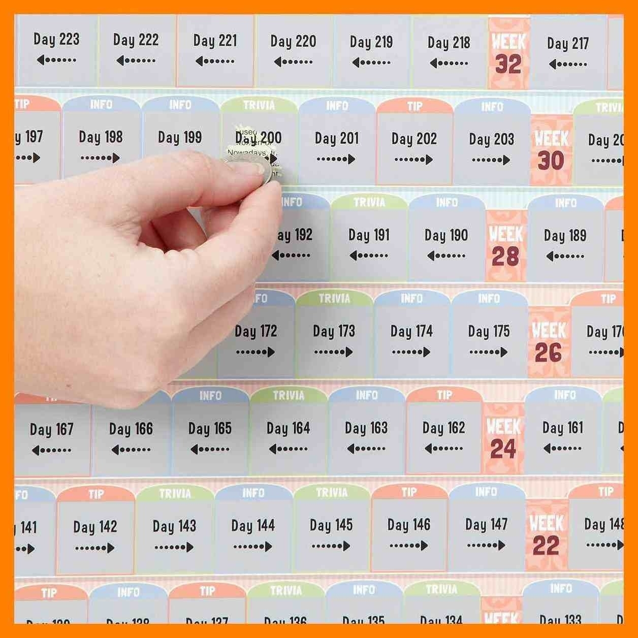 Dayday Pregnancy Pictures | Template Calendar Printable in Pregnancy Calendar Day By Day Pictures