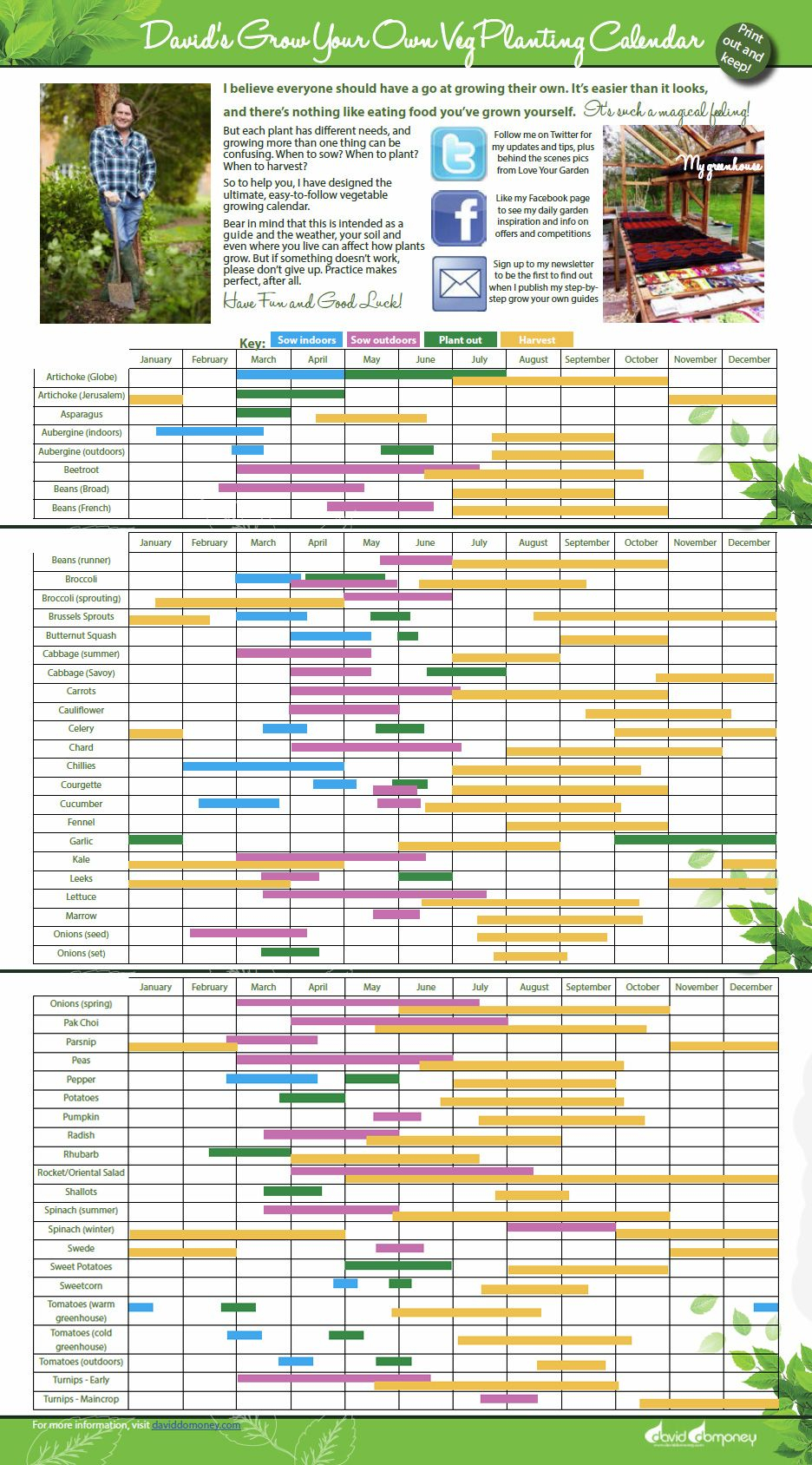 Grow Your Own Veg With My Planting Calendar | When To Plant within Allotment Planting Calendar