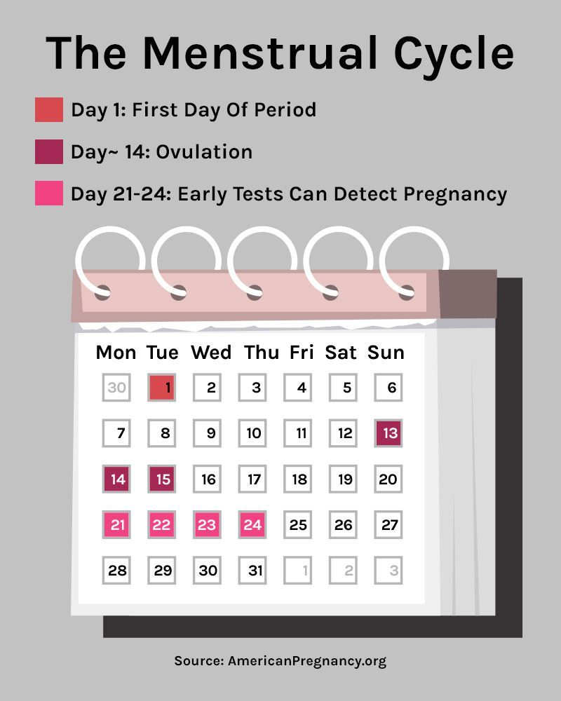 Pin On Ovulation intended for Pregnancy Calendar Day By Day Pictures