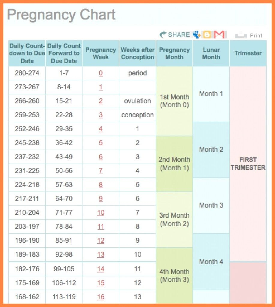 Pin On Printable Free Calendar Templates for Printable Pregnancy Calendar Week By Week