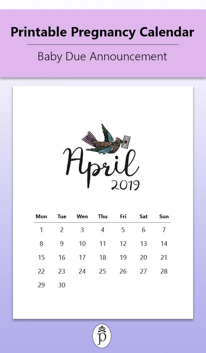 Pin On Printable Pregnancy Calendars with Printable Pregnancy Calendar