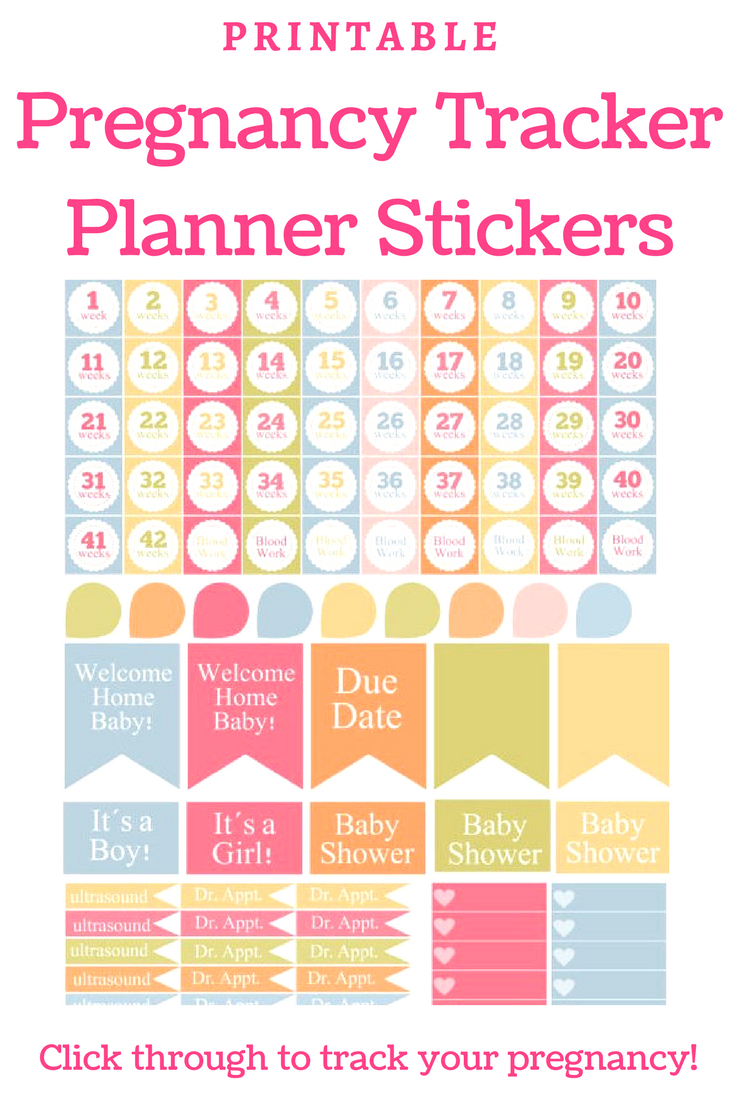 Planning To Track Your Pregnancy In Your Planner? Make It pertaining to Printable Pregnancy Calendar Week By Week