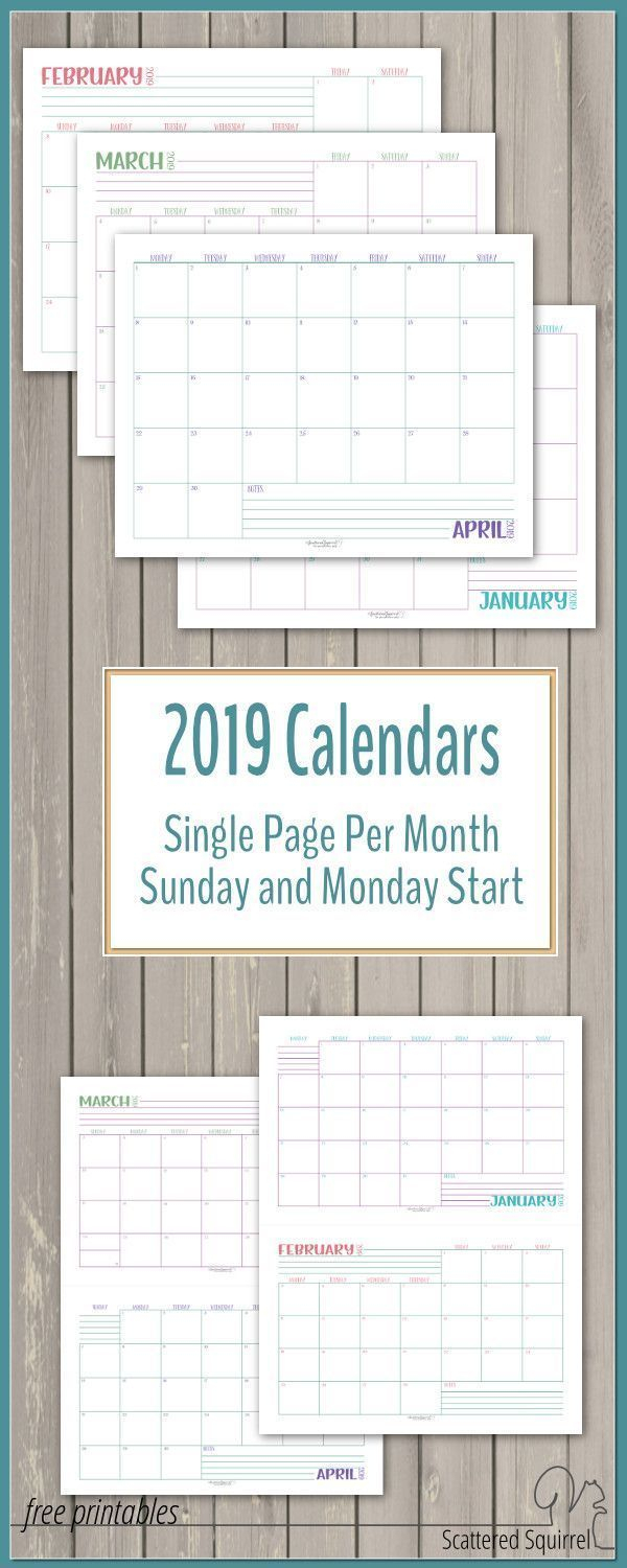 Single Page, Dated 2019 Calendars With Sunday And Monday with regard to Scattered Squirrel Calendar
