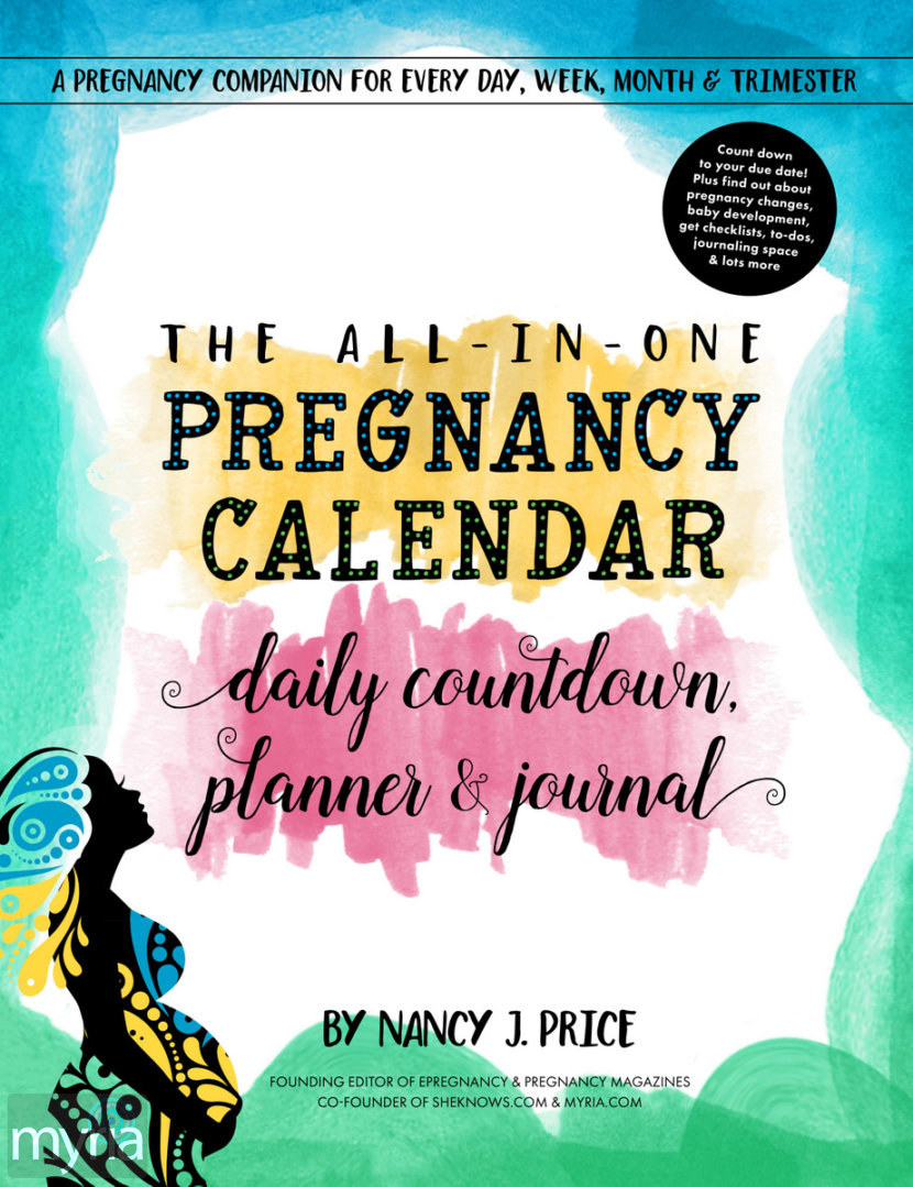 The Allinone Pregnancy Calendar, Daily Countdown, Planner regarding Pregnancy Calendar Day By Day Pictures