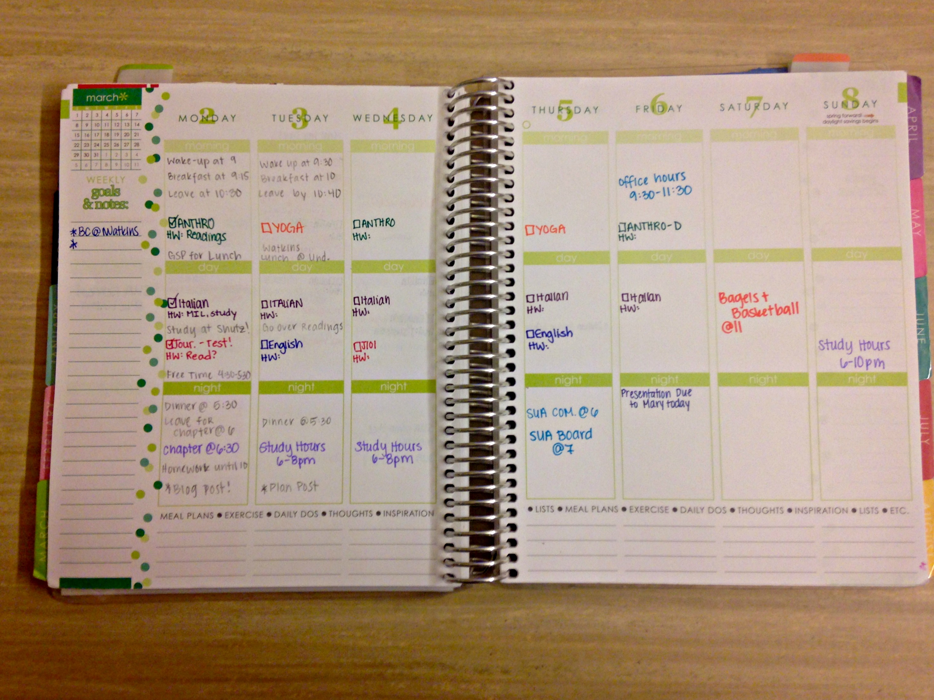 Week Planning 101 | Indulging In Wanderlust within Planner With Time Slots