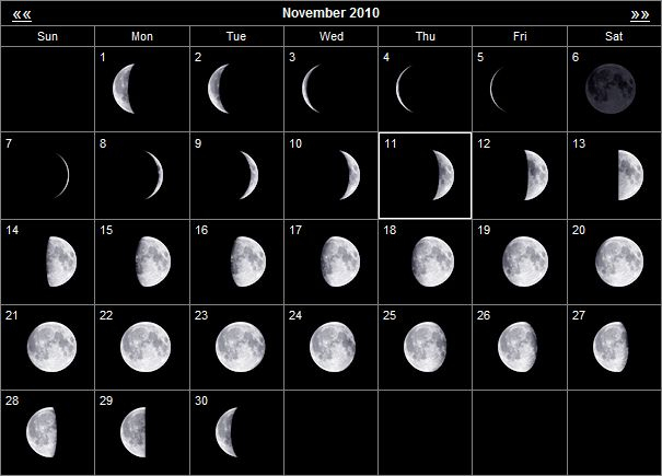 2010 Moon Phases For November And December  General for Lunar Calendar Hunting Deer