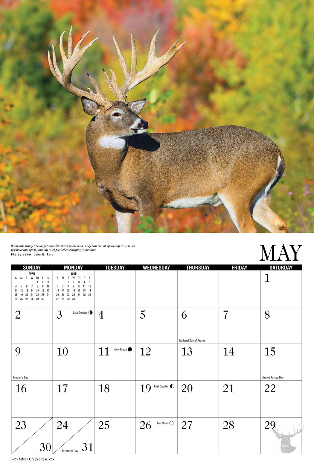 Whitetail Deer 2021 Wall Calendar throughout Lunar Calendar Hunting Deer