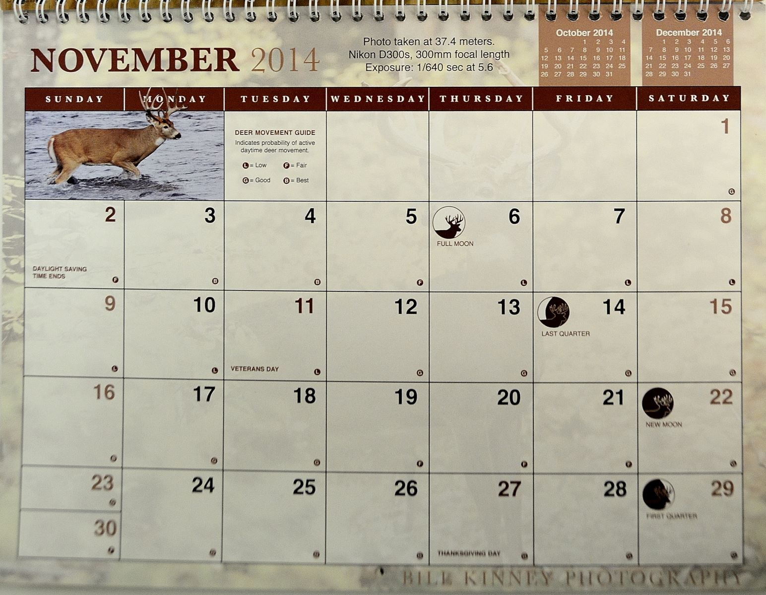 Whitetail Deer Movement Chart Activity Anta Co Barrier inside Lunar Calendar Hunting Deer