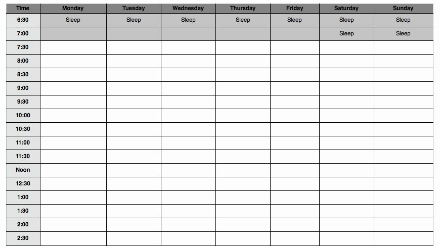 45 Daily Planner With Time Slots | Ufreeonline Template in Weekly Planner With Time Slots Template