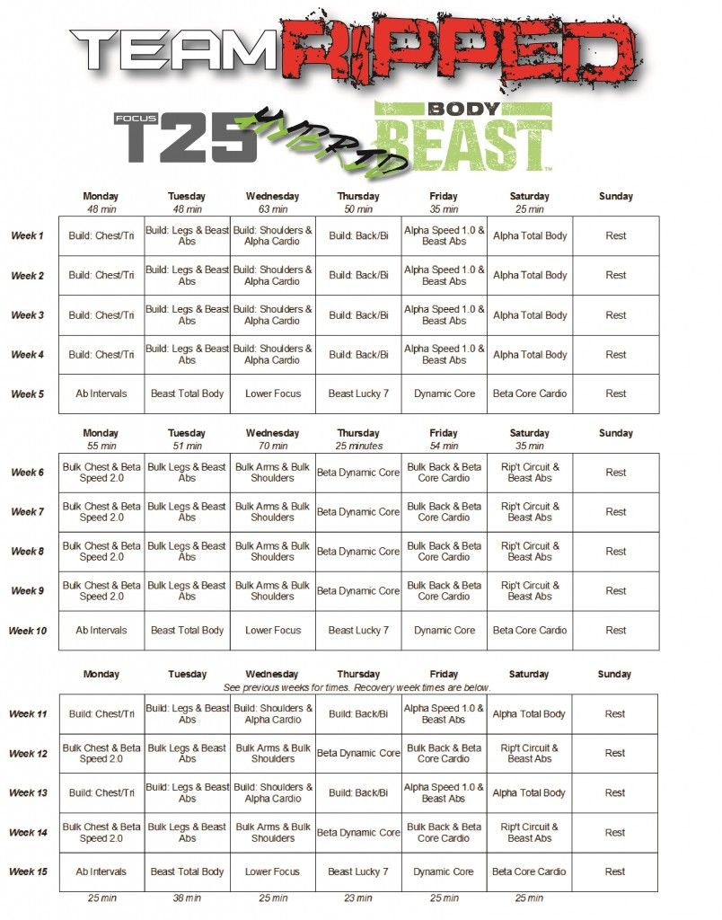 Body Beast Hybrids: P90X3 And T25 (With Images) | Body intended for Body Beast Insanity Max 30 Hybrid