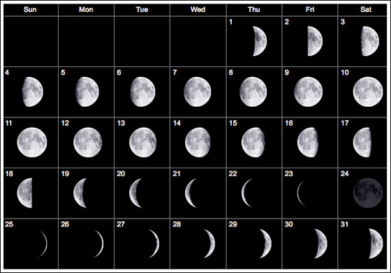 Calendar | Find Calendar intended for Calendar 12 Moon Phases