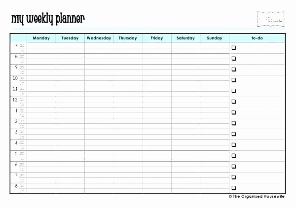 45 Daily Planner With Time Slots | Ufreeonline Template in Daily Calendar With Time Slots Template