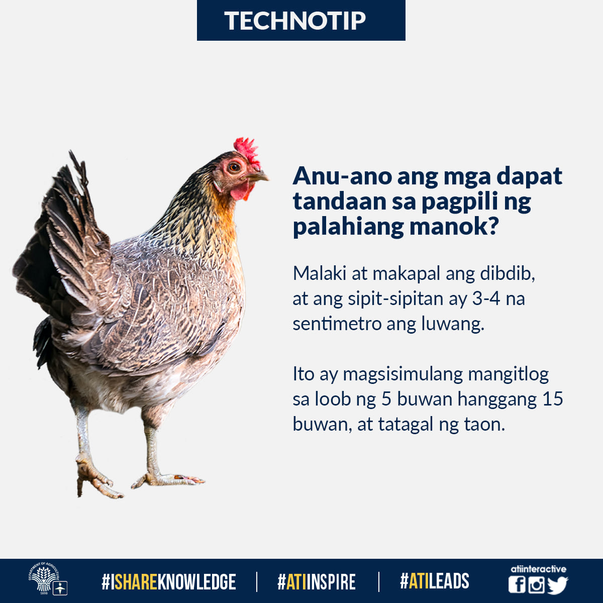 Elearning For Agriculture And Fisheries | Agricultural with Kaliskis Ng Manok Swerte