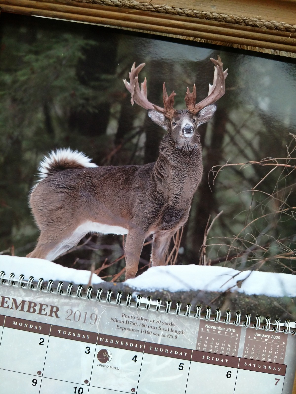 Lunar Calendar Hunting Deer | Calendar For Planning inside Empires And Puzzles December 2021 Calendar