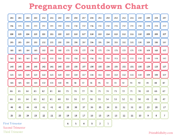 Printable Pregnancy Countdown Chart with 6 Week Countdown Calendar