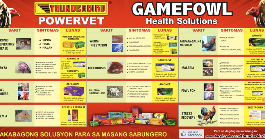Sabong | Cockfight: Gamefowl Health Solutions in Swerteng Kulay Ng Manok Calendar