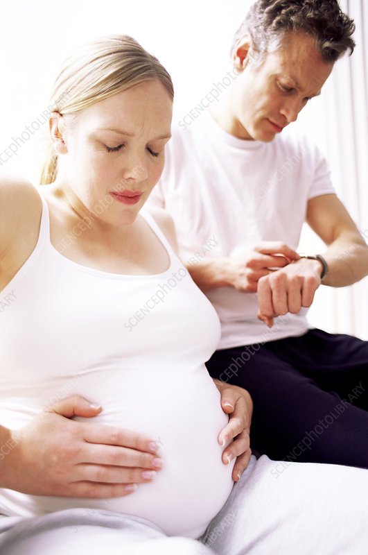 Timing Contractions  Stock Image  M8100359  Science inside Labour Contractions Timing Chart