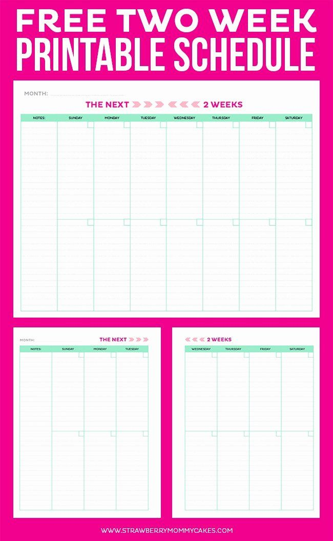 Two Week Schedule Template Luxury Printable Weekly within Printable Calendar Two Weeks