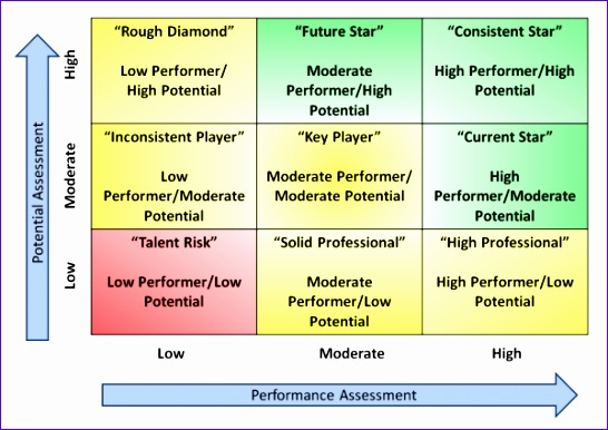 10 Performance Matrix Template Excel  Excel Templates within 9 Box Grid Talent Management Template Excel