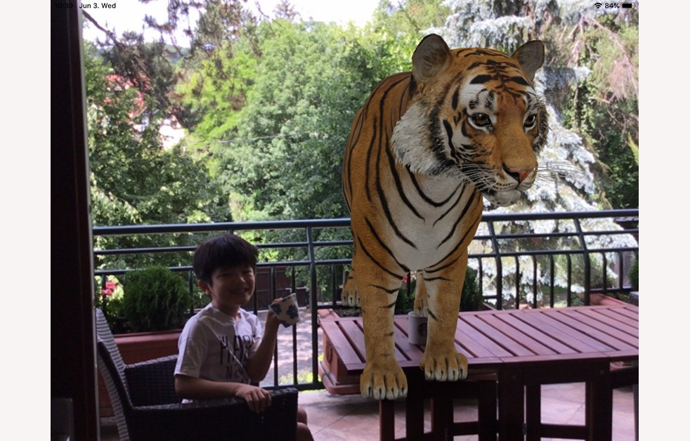 A Tiger Has Visited Year 1 Children for Britannica International School Budapest Calendar