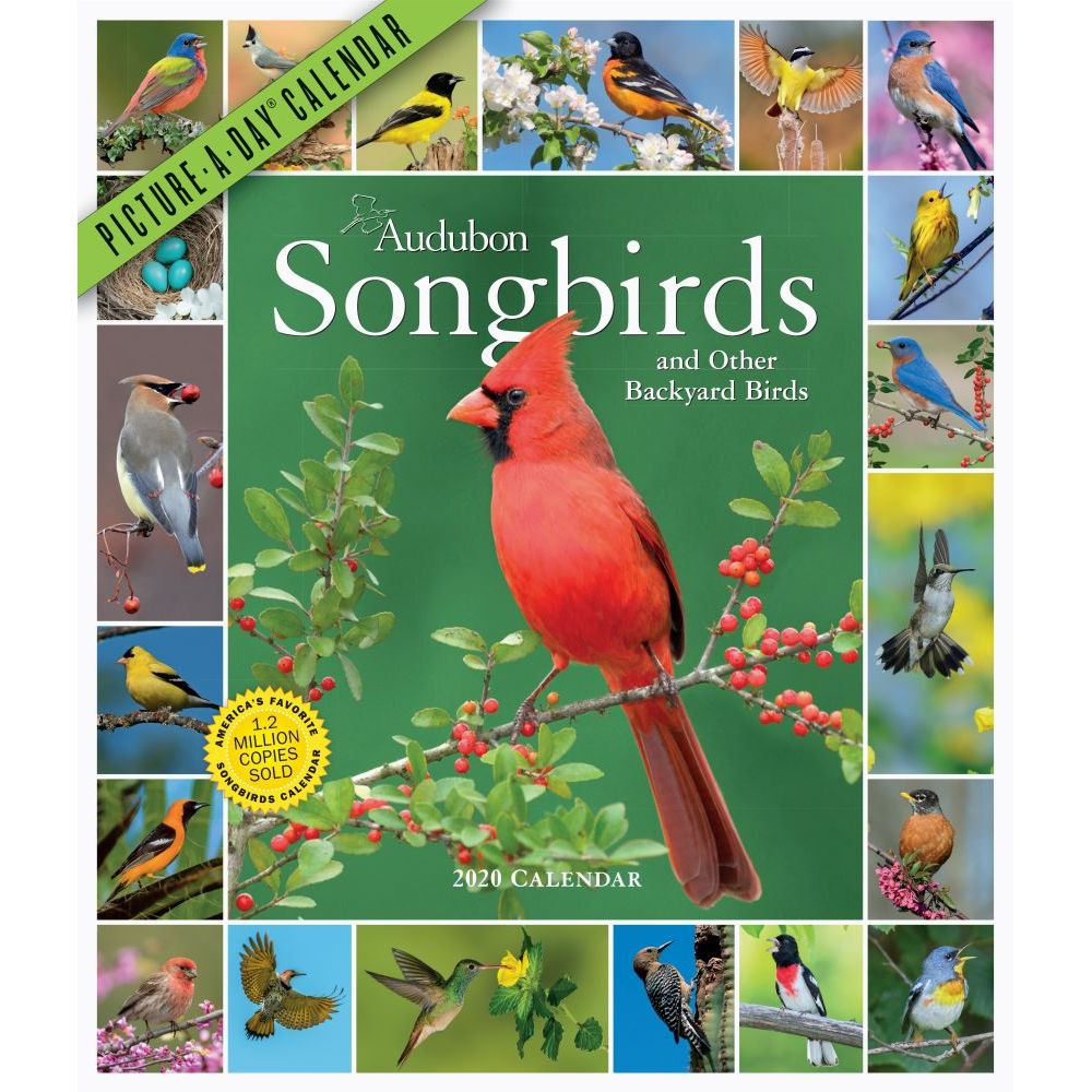 Audubon Songbirds And Other Backyard Birds Pictureaday with regard to National Day Wall Calendar