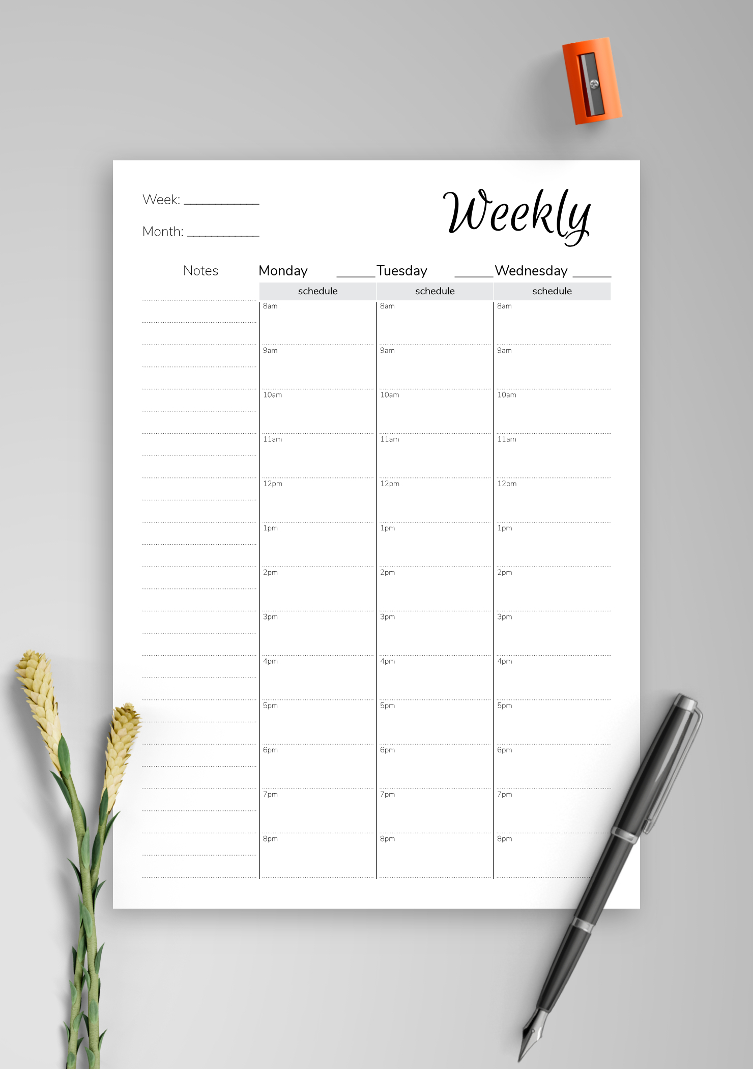 Download Printable Weekly Hourly Planner With Notes pertaining to Hourly Calendar Pdf