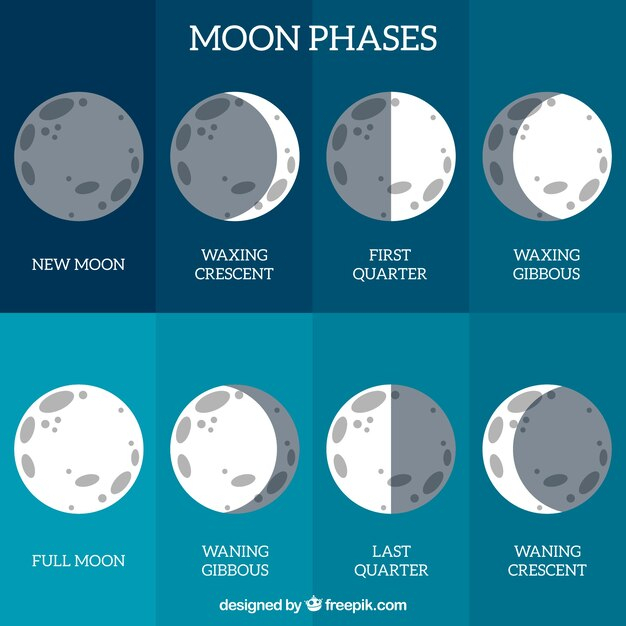 Free Vector | Lunar Phase Calendar regarding Calendar Lunar De Tuns