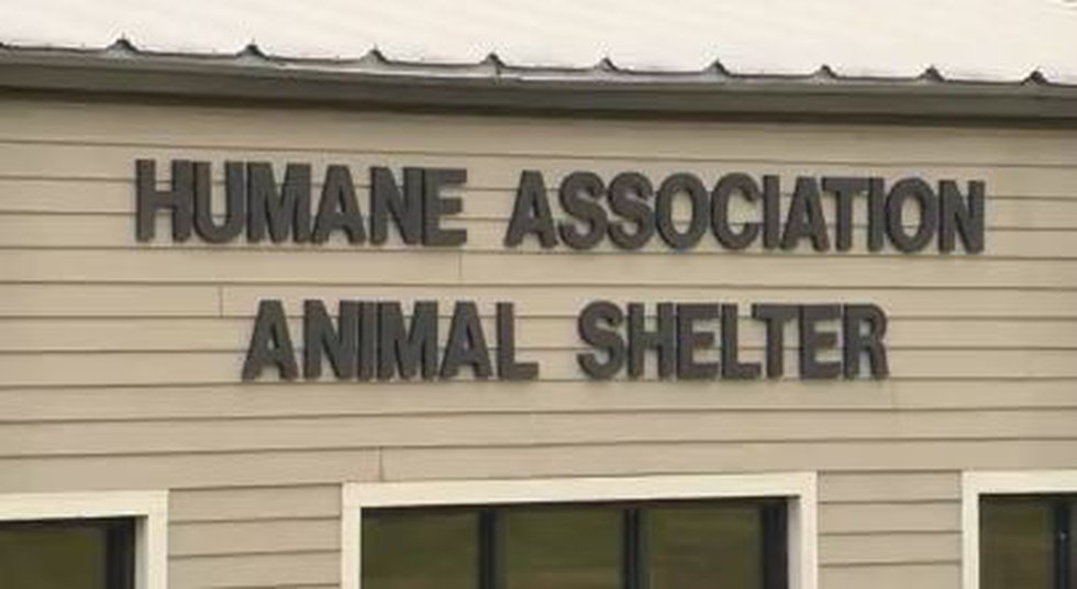 Humane Society Of Warren County Helps 131 Animals From inside Warren County Ky School Calendar