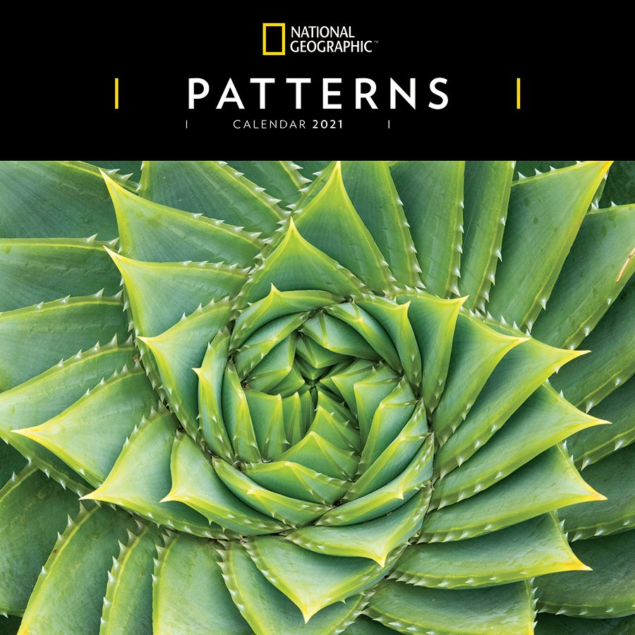 National Geographic &#039;Patterns&#039; Wall Calendar 2021 in National Day Wall Calendar