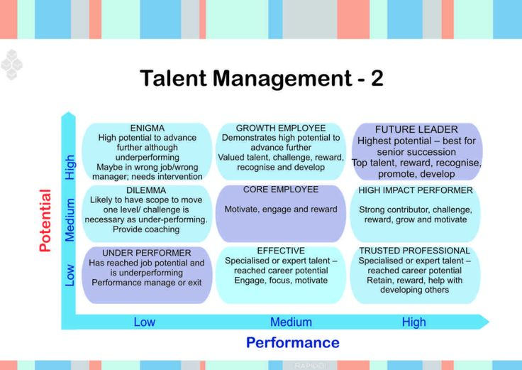 Rapidbi | Talent Management, Workforce Management with 9 Box Grid Talent Management Template Excel