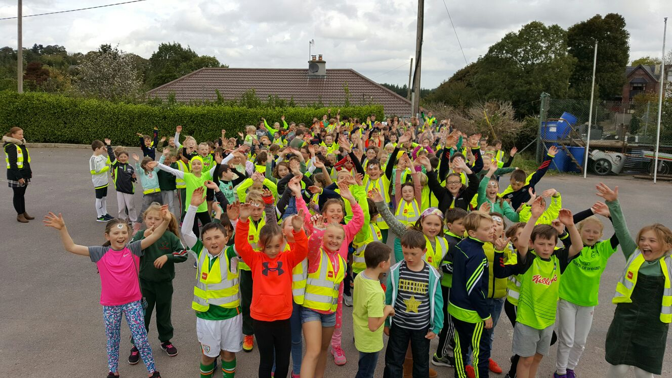 Scoil Bhailenora, Waterfall, Cork  Greenschools within Harolds Cross National School