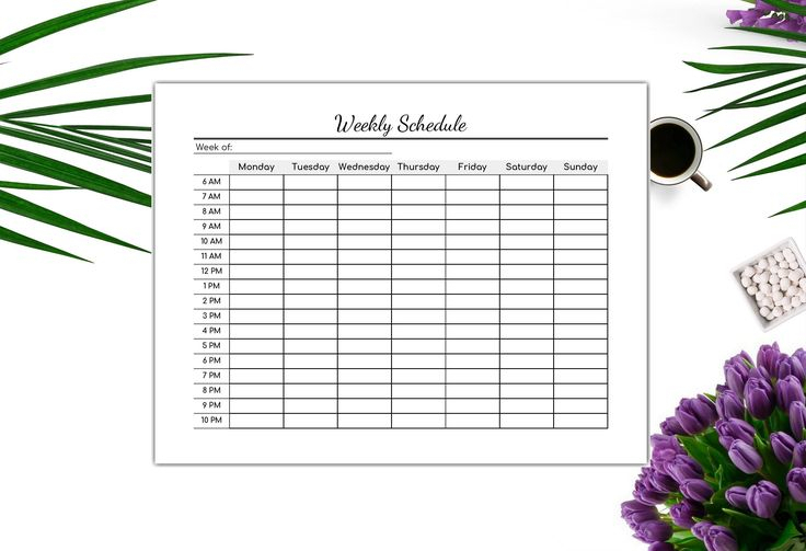 Weekly Schedule Editable Pdf Hourly Schedule Printable inside Hourly Calendar Pdf