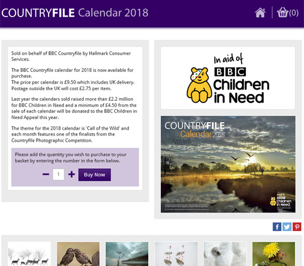 Bespoke Ecommerce Websites | Bespoke Ecommerce Website Design | E within Country Calendars In File