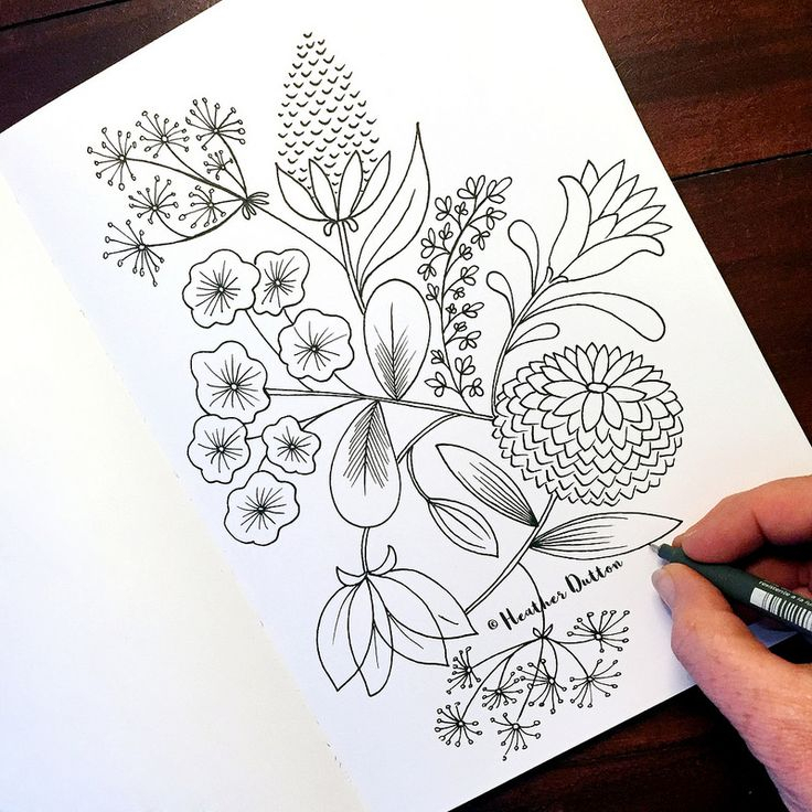 Botanical Floral | Botanical Line Drawing, Flower Doodles, Flower Drawing within Botanical Line Drawing Pdf