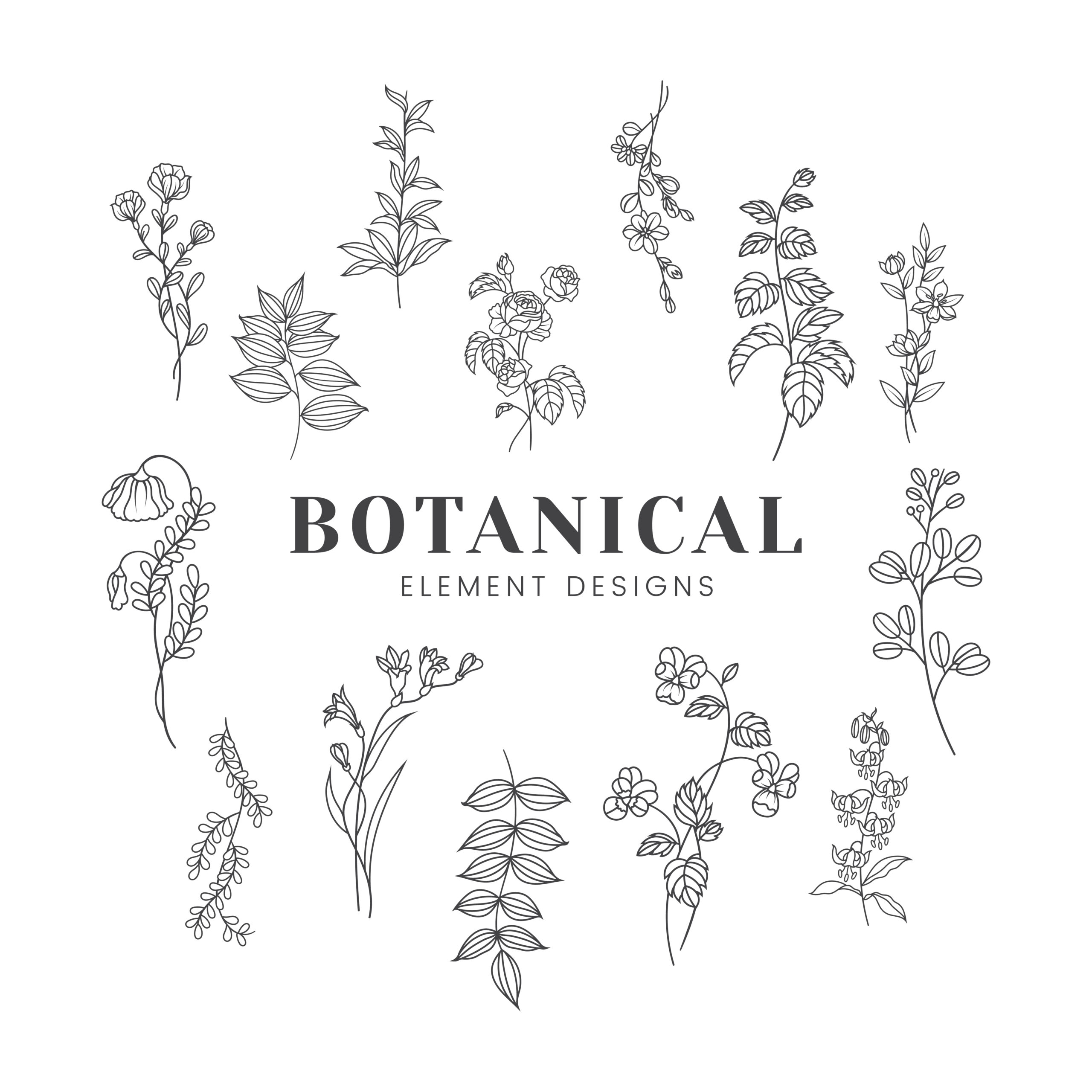 Botanical Floral Mockup Illustration Download Free Vectors, Clipart inside Botanical And White Flower