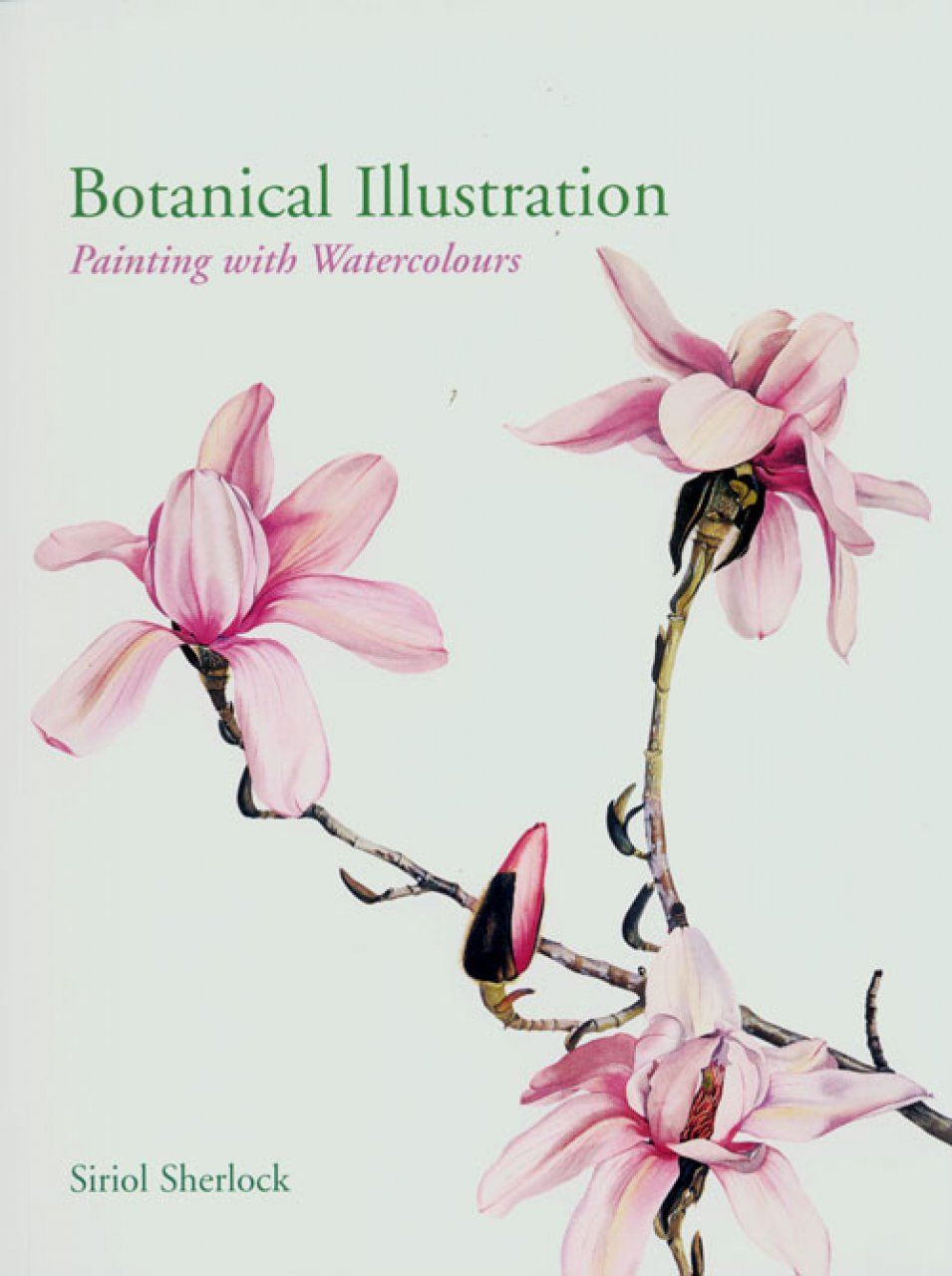 Botanical Illustration: Painting With Watercolours | Botanical throughout Diploma In Botanical Illustration