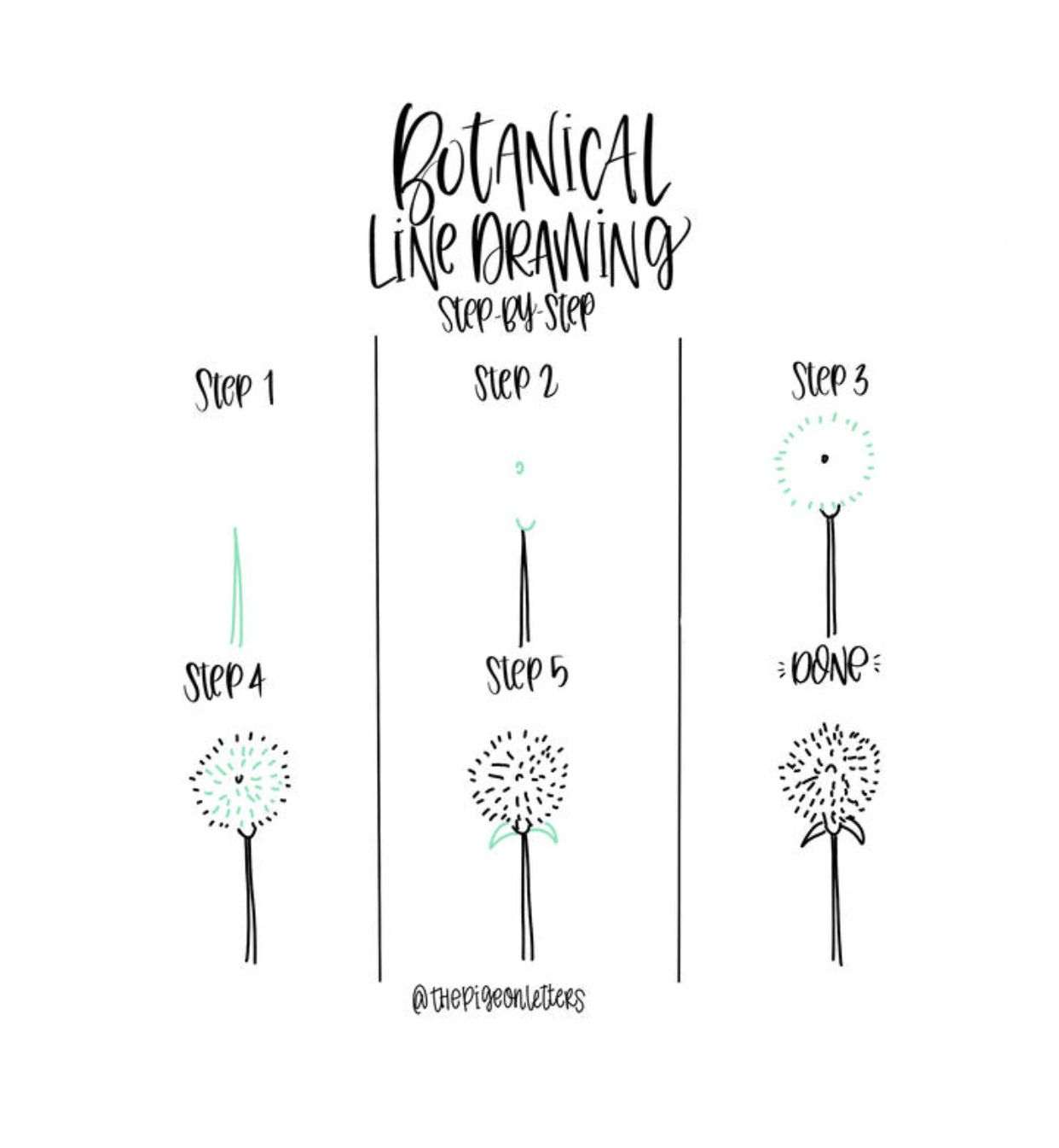 Botanical Line Drawing | Botanical Line Drawing, Line Drawing, Lettering regarding Botanical Line Drawing Pdf