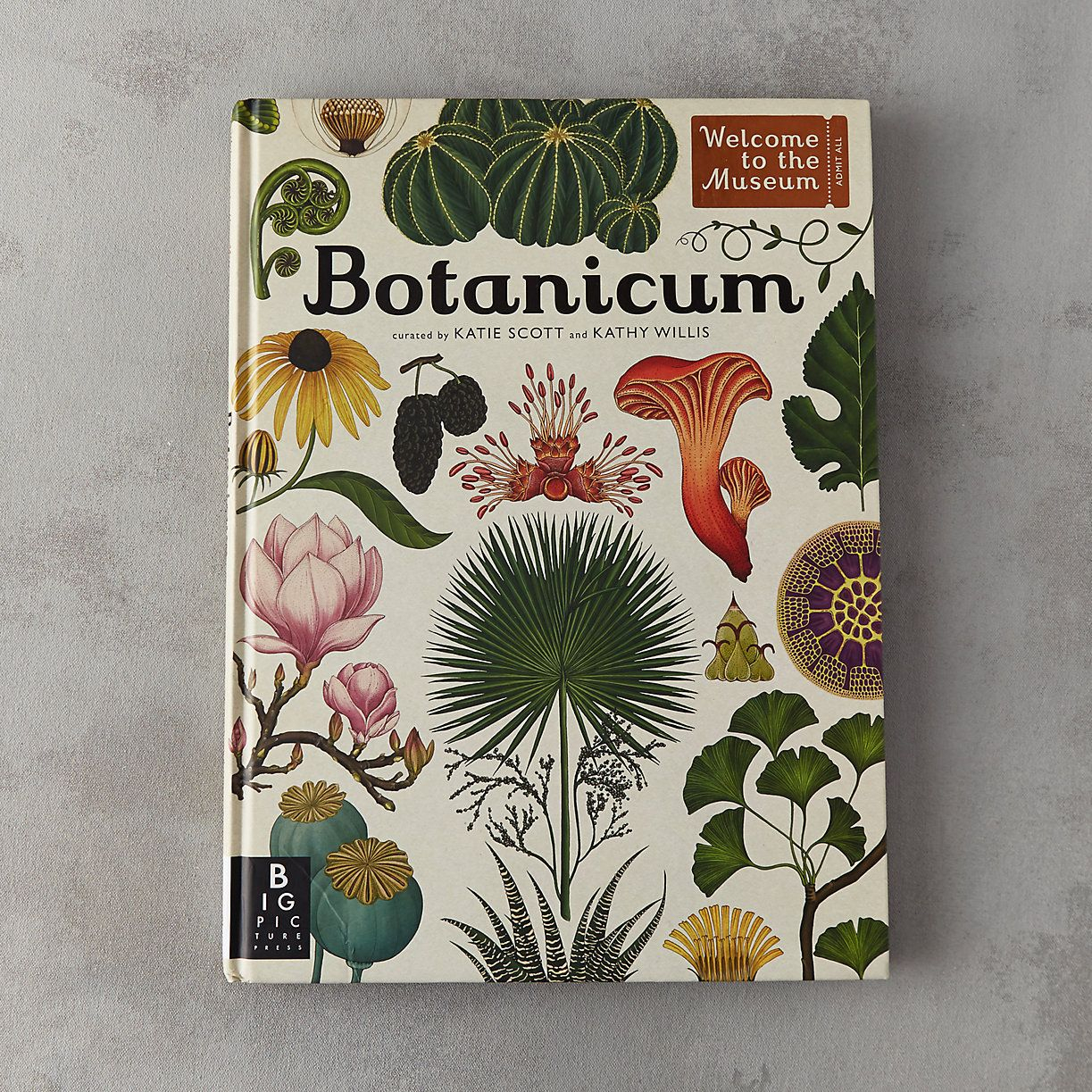 Botanicum | Katie Scott, Botanical Illustration, Willis throughout Kew Book Of Botanical Illustration