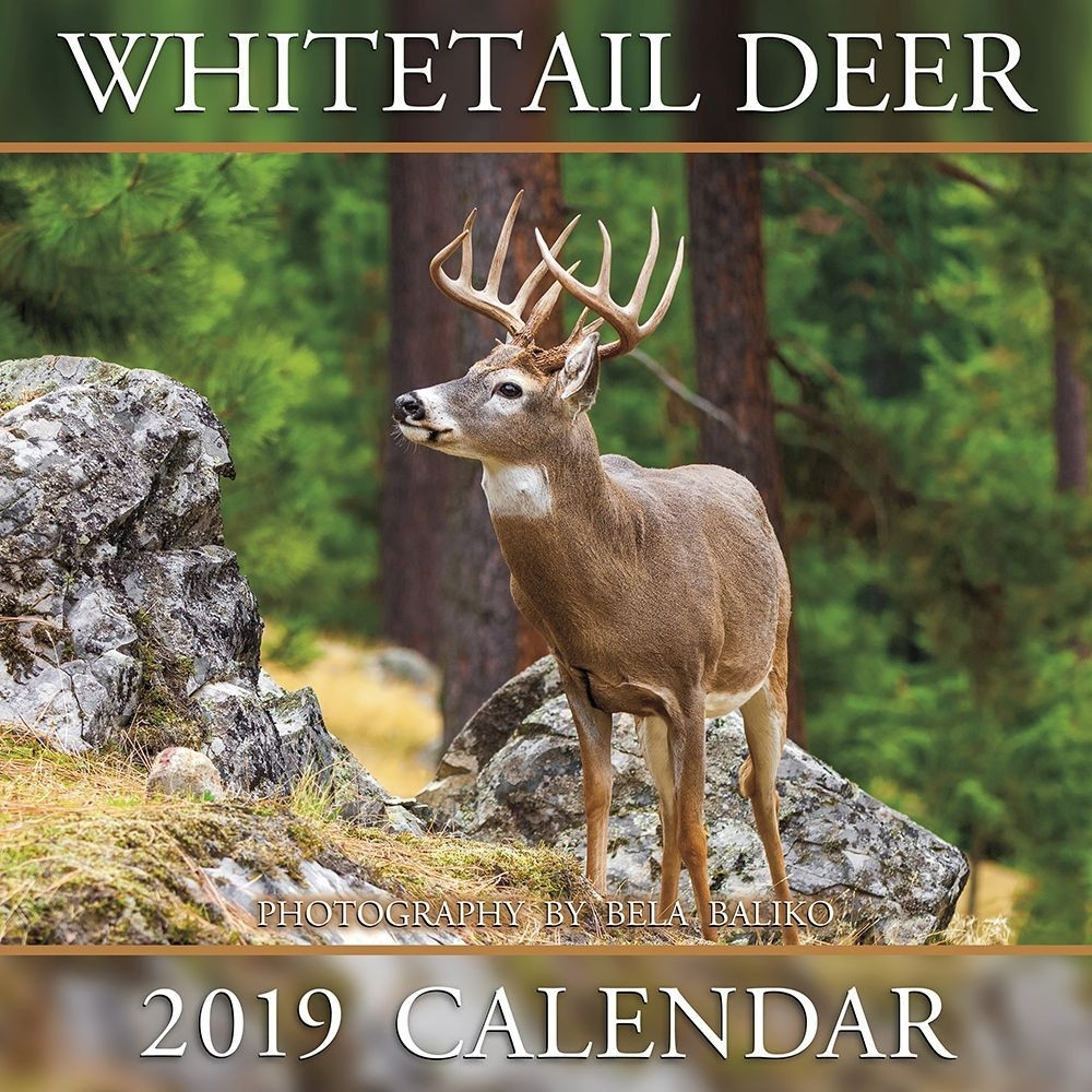 Deer Rut Forecast 2021 | Calendar Printables Free Blank with Rut In Minnesota Calendar Printables Free Blank