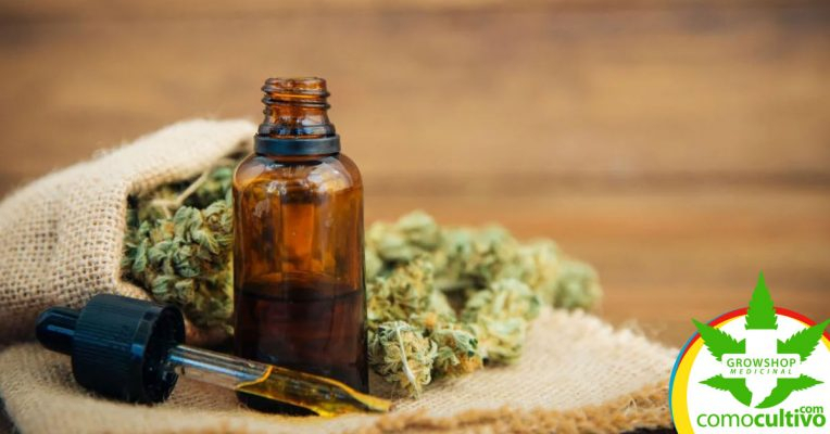 ¿Donde Comprar El Aceite Medicinal De Cannabis En Chile? within Canariasweed Comprar Marihuana En Las Palmas De Gran