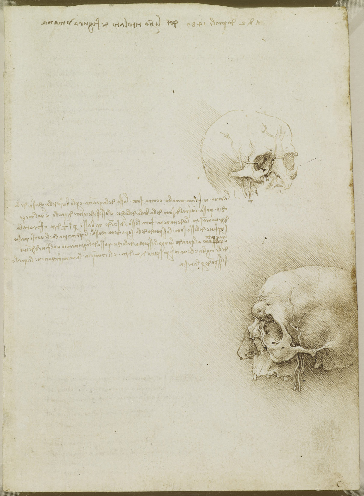 Download The Sublime Anatomy Drawings Of Leonardo Da Vinci: Available in Drawings By Leonardo Da Vinci