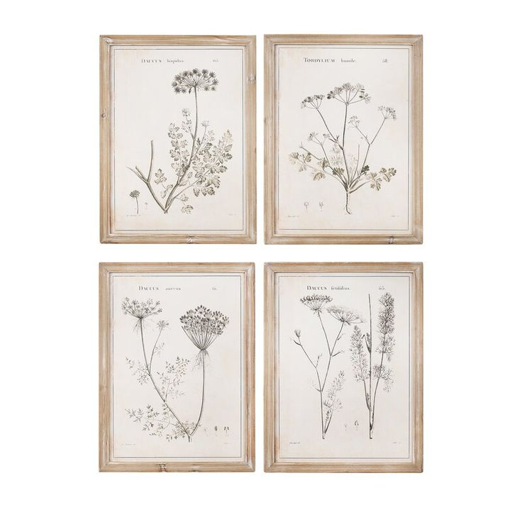 Gracie Oaks &#039;Vintage Reproduction Botanical&#039; 4 Piece Framed Painting pertaining to Antique Botanical Prints Reproductions