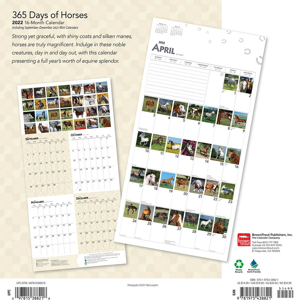 Horses, 365 Days Of Calendar 2022 | Animalden in Usmc Holiday Schedule 2022