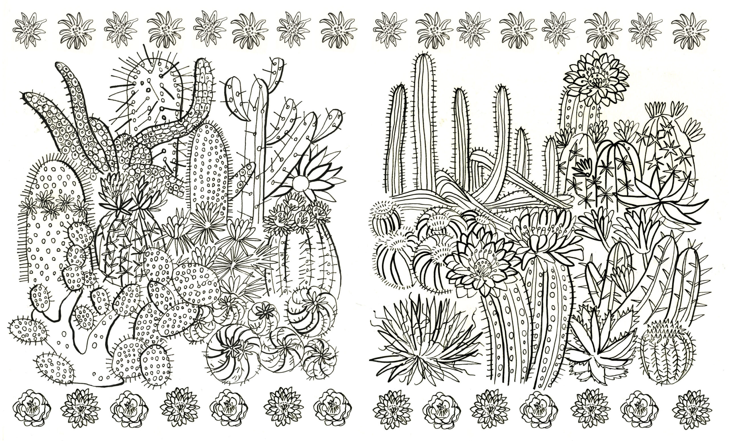 Kew Colouring Book Clair Rossiter Illustration intended for Kew Book Of Botanical Illustration